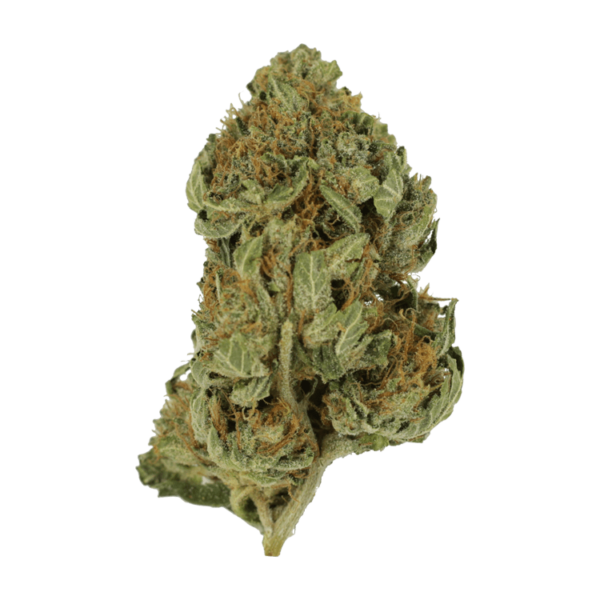 Bubblegum – 1 ounce | Pacific Green Canada