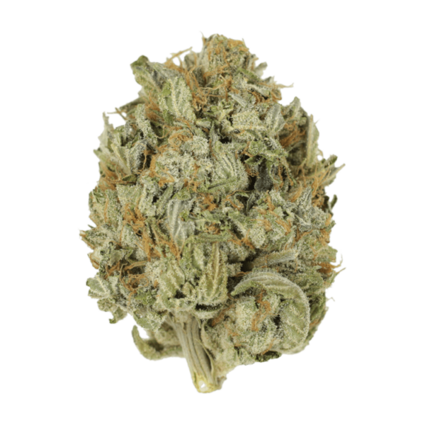 Blue Dream (Popcorn) | Pacific Green Canada