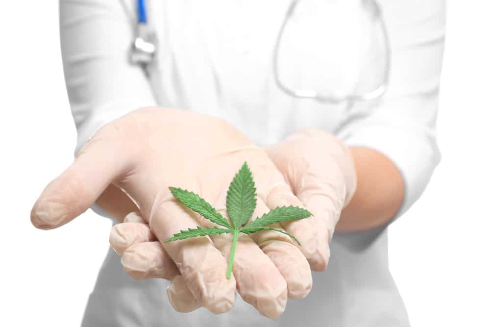 Cannabis as a natural cure for pain | Pacific Green Canada