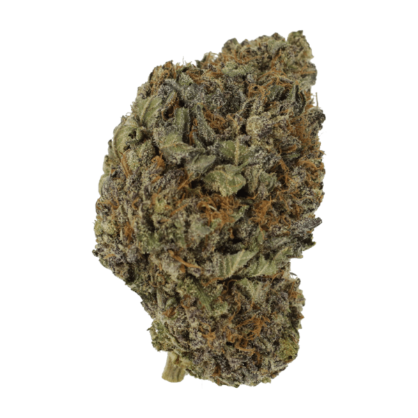 Black Diamond | Pacific Green Canada