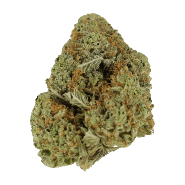 Mataro Blue – 1 ounce | Pacific Green Canada