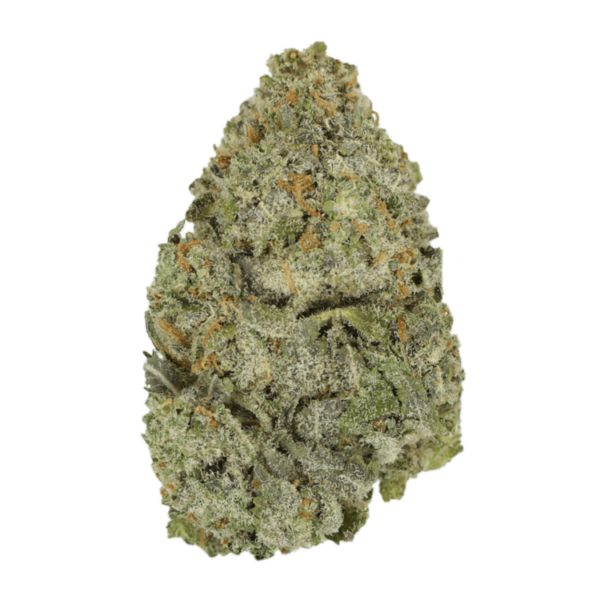 Lemon Meringu- | Pacific Green Canada