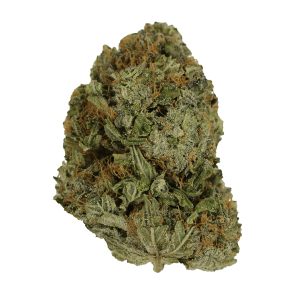 Blue Fire – 1 ounce | Pacific Green Canada