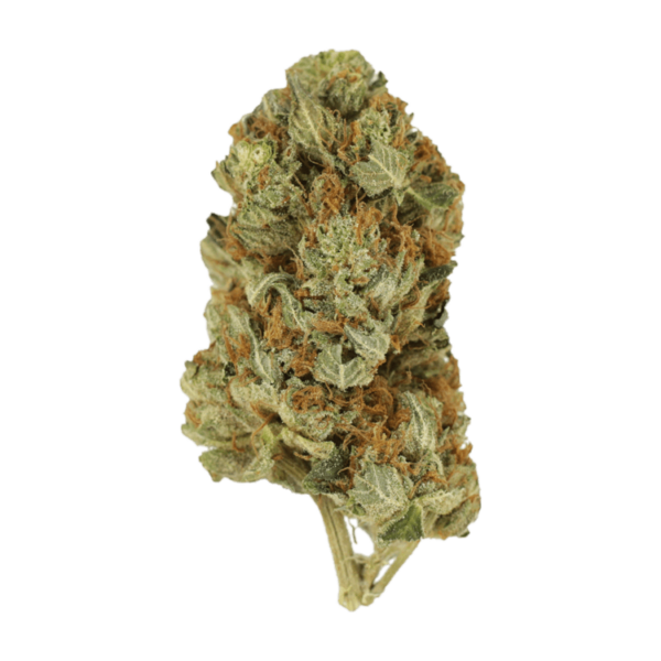 Jet Fuel | Pacific Green Canada