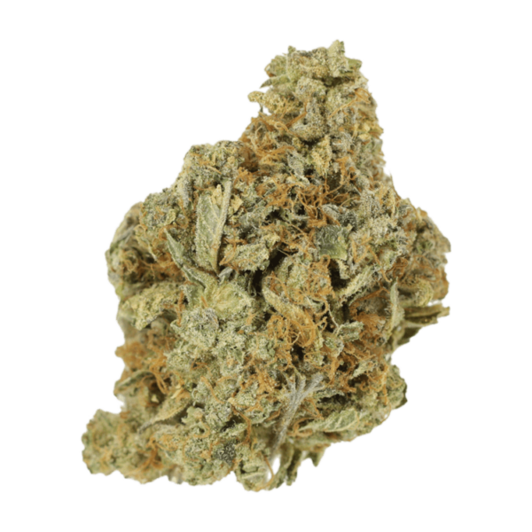 Jet Fuel | Pacific Green Canada