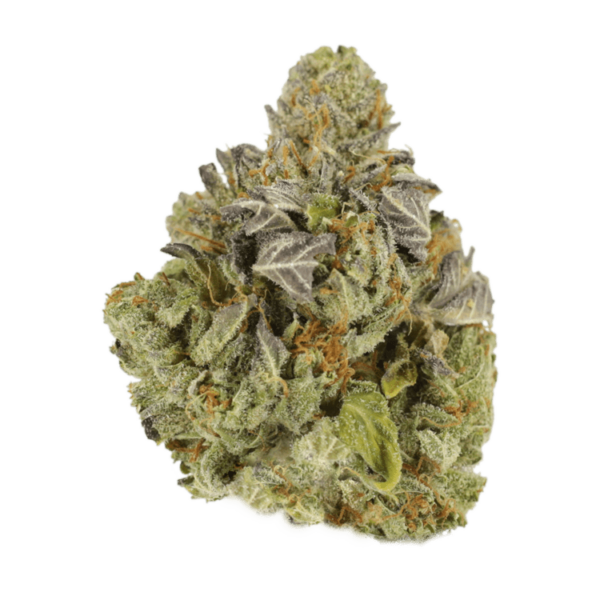 Jet Fuel | Pacific Green Canada