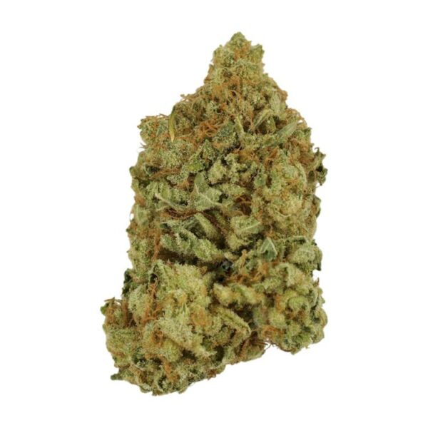 Blueberry | Pacific Green Canada