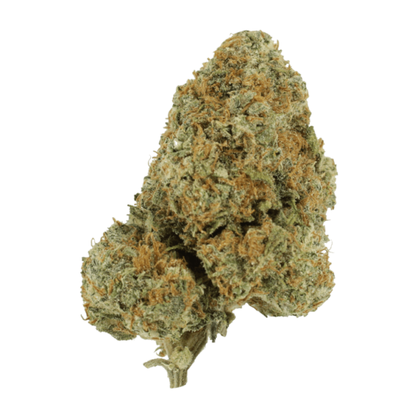 Blue Rhino | Pacific Green Canada