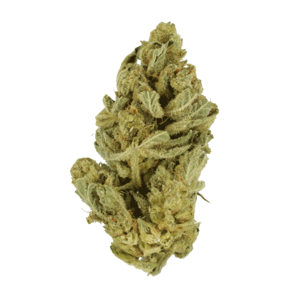 Hindu Kush – 7g | Pacific Green Canada