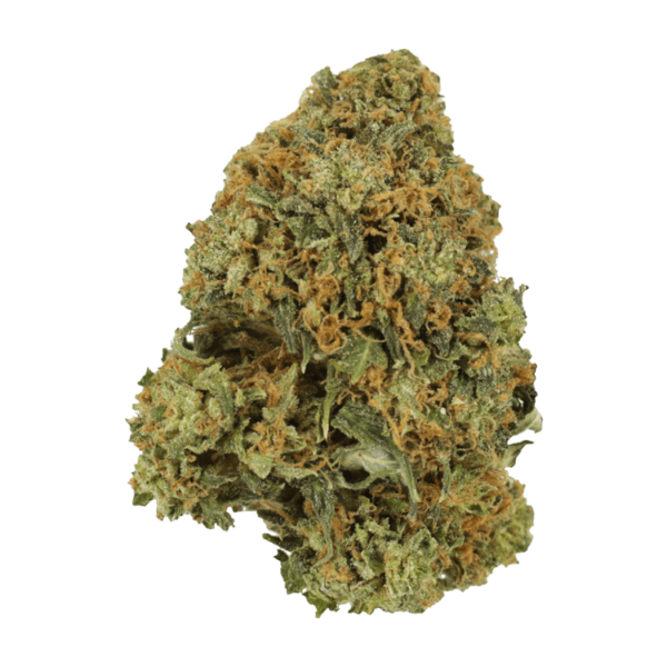 Durban Poison | Pacific Green Canada