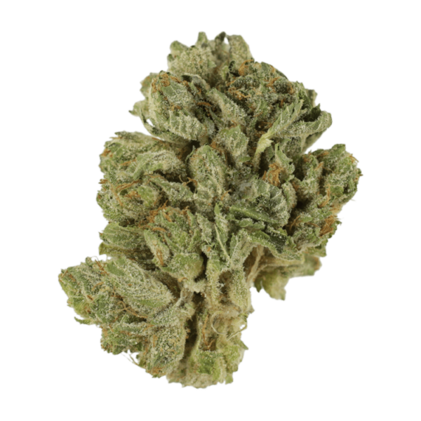 Northern Lights 2 for $69 | Pacific Green Canada