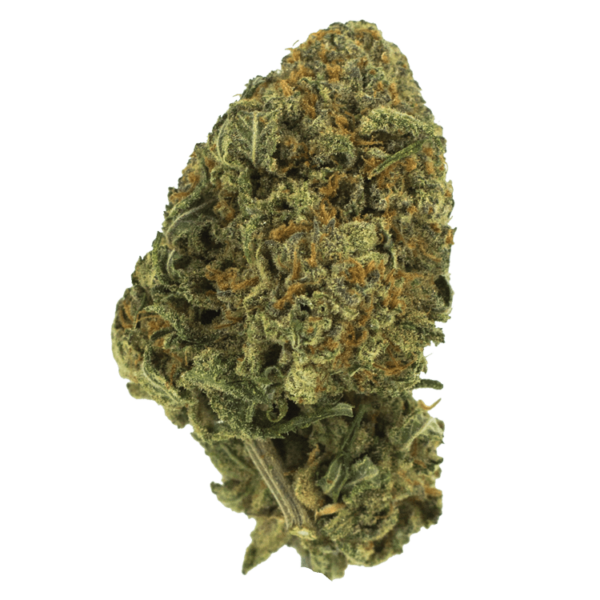 Black Nuken | Pacific Green Canada