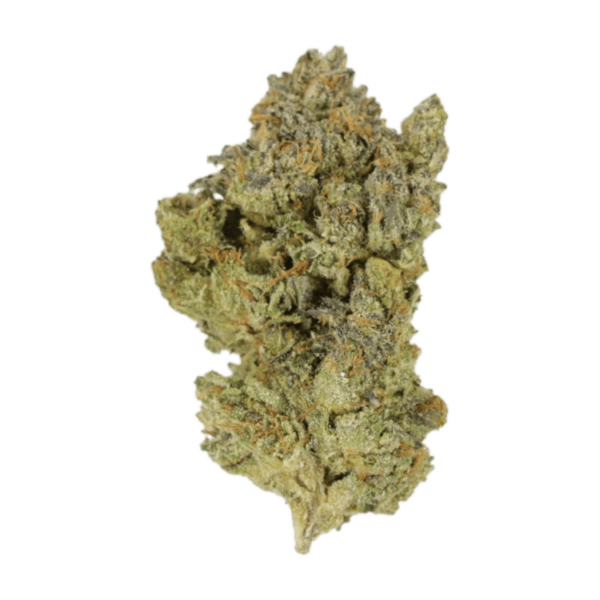 Golden Goat | Pacific Green Canada