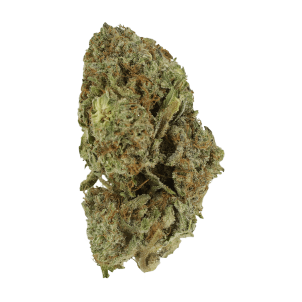 Gelato Sorbet – 1 ounce | Pacific Green Canada