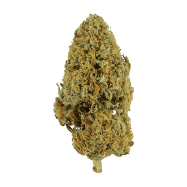 Grapefruit – 1 ounce | Pacific Green Canada