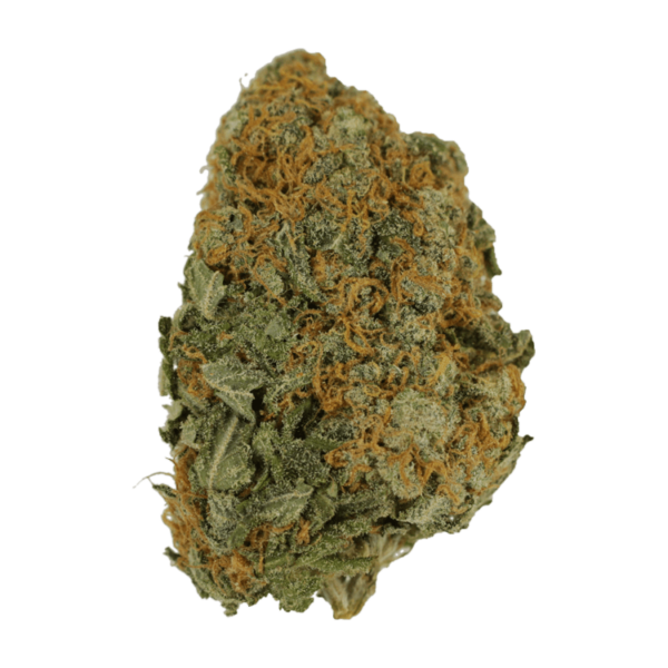 Master Kush Ultra | Pacific Green Canada