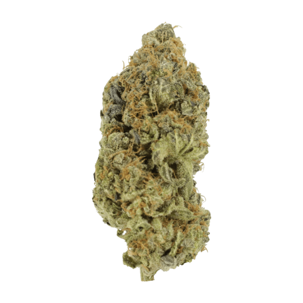 Critical Widow | Pacific Green Canada