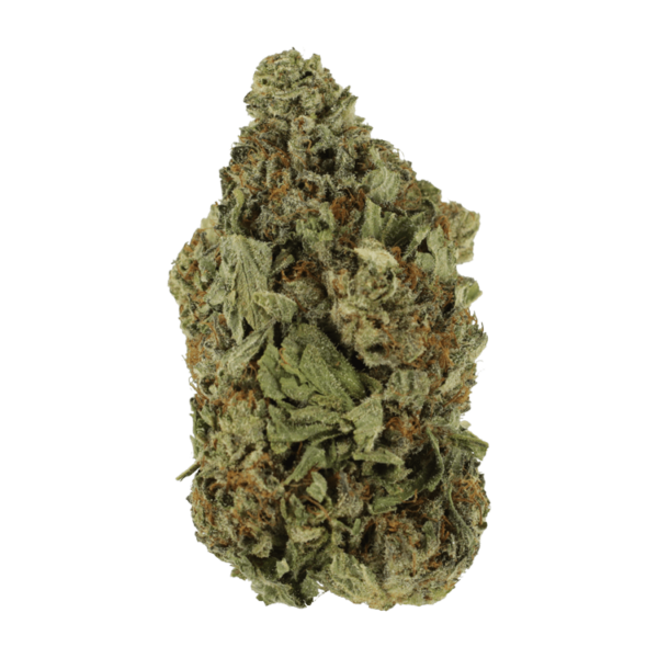 Shishkaberry | Pacific Green Canada