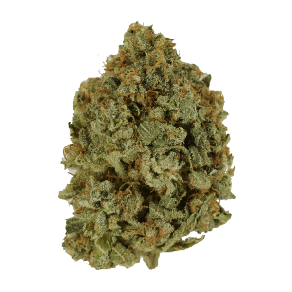 Crazy Glue | Pacific Green Canada