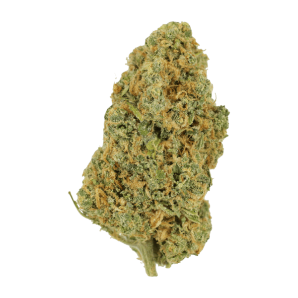 Lemon Bomb | Pacific Green Canada