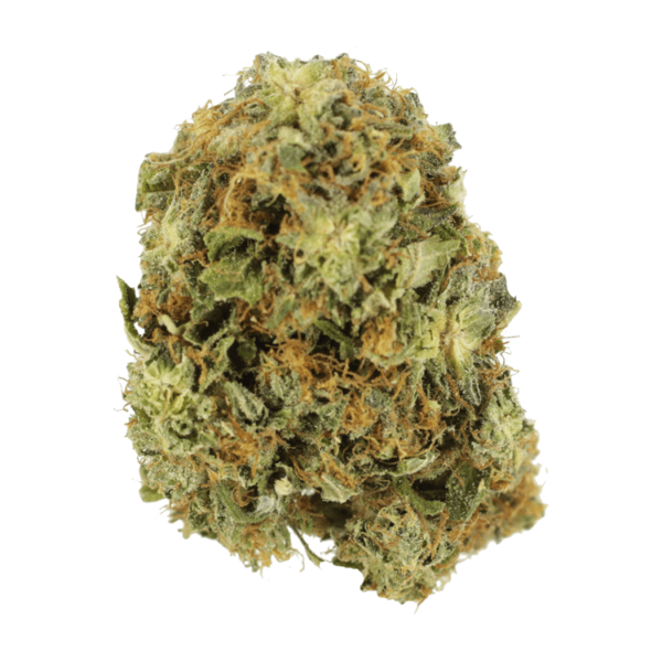 Colorado Bubba | Pacific Green Canada