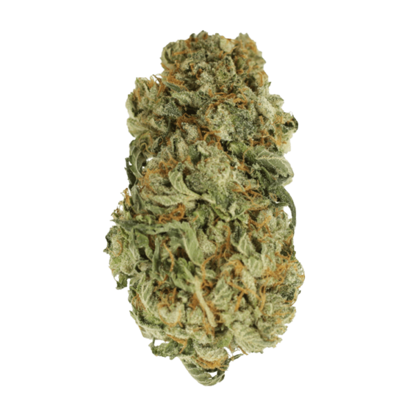 King Louis – 1 ounce | Pacific Green Canada