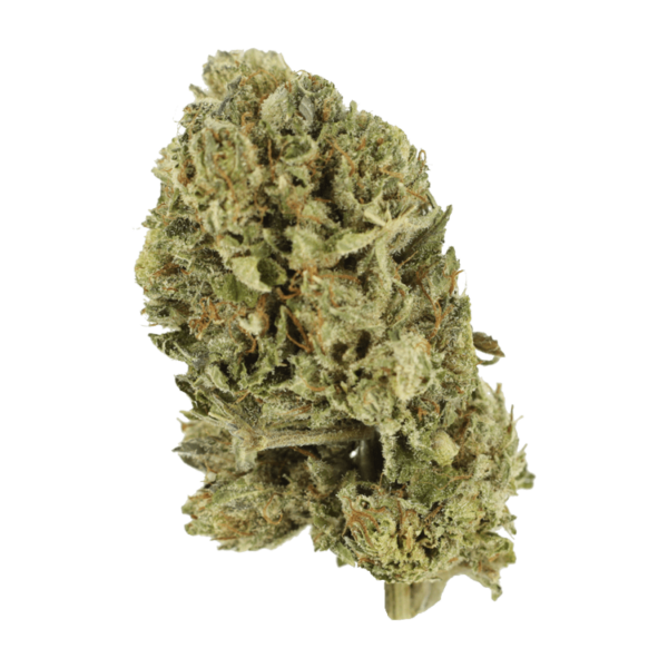 Purple OG Kush – 1 ounce | Pacific Green Canada