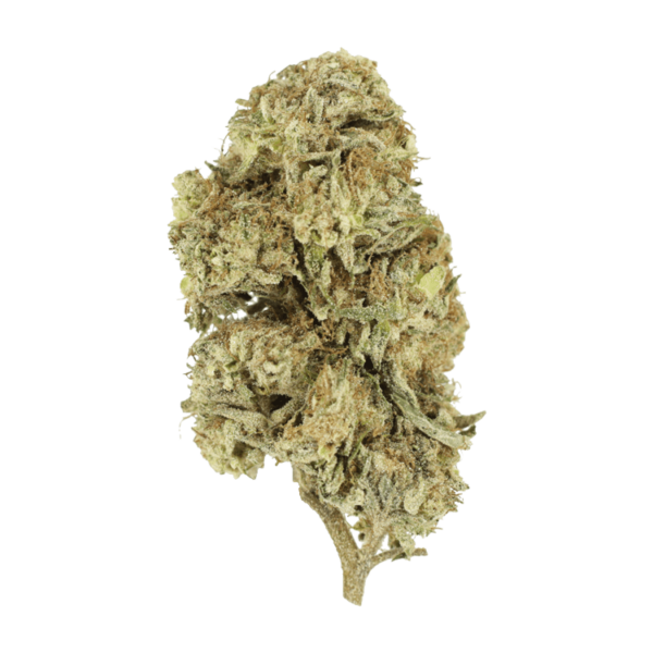 Cherry Wine (CBD) | Pacific Green Canada