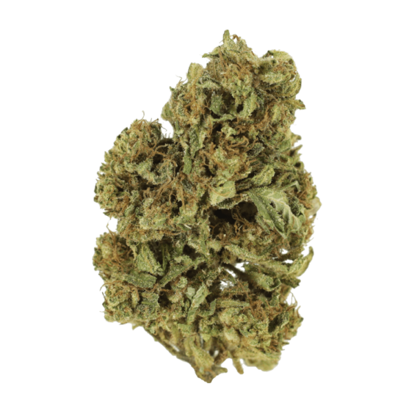 Cherry Wine (CBD) | Pacific Green Canada