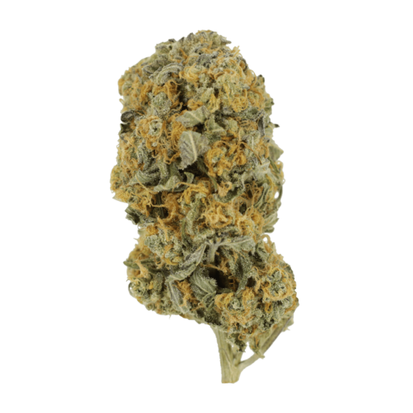 Sour Prince | Pacific Green Canada