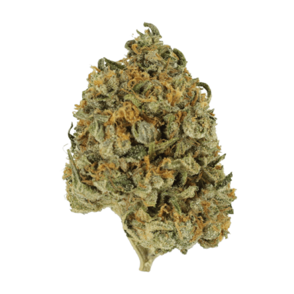 Banana Punch | Pacific Green Canada