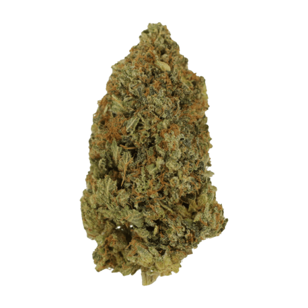 Rock Bubba | Pacific Green Canada