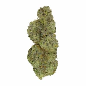 Strawberry Cough | Pacific Green Canada