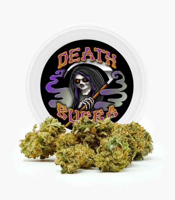 Westcoast Cali Tins – Premium Flower – Skywalker OG – 3.5g | Pacific Green Canada