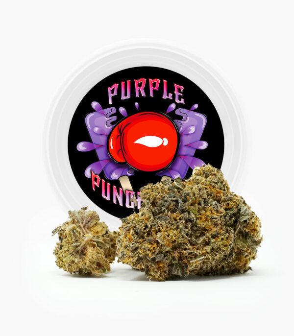 Westcoast Cali Tins – Premium Flower – Purple Punchsicle – 14g | Pacific Green Canada