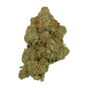 Tropicana Cookies | Pacific Green Canada