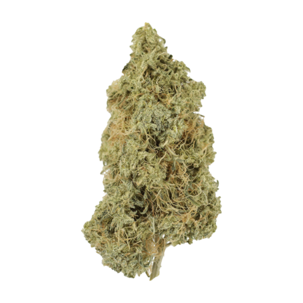 Tropicana Cookies | Pacific Green Canada