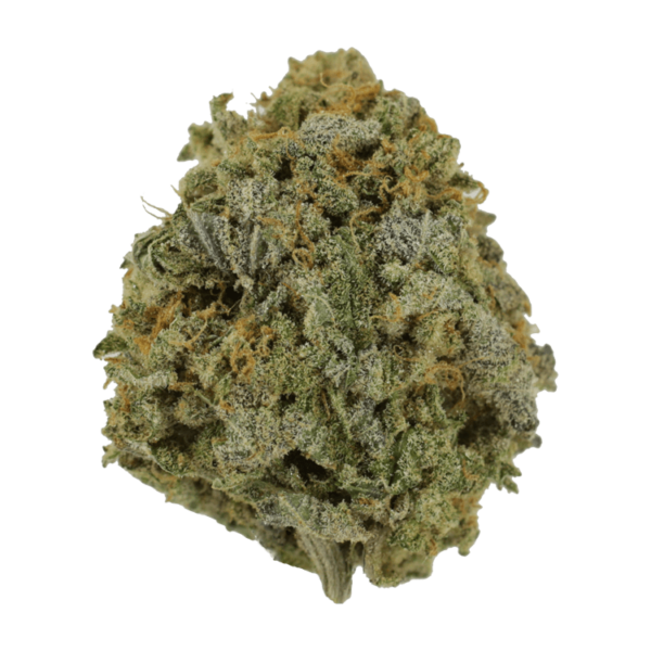 Pink Tuna (Popcorn) – $40/oz | Pacific Green Canada