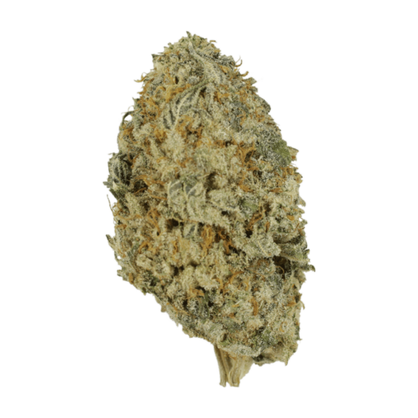 Donkey Butter | Pacific Green Canada