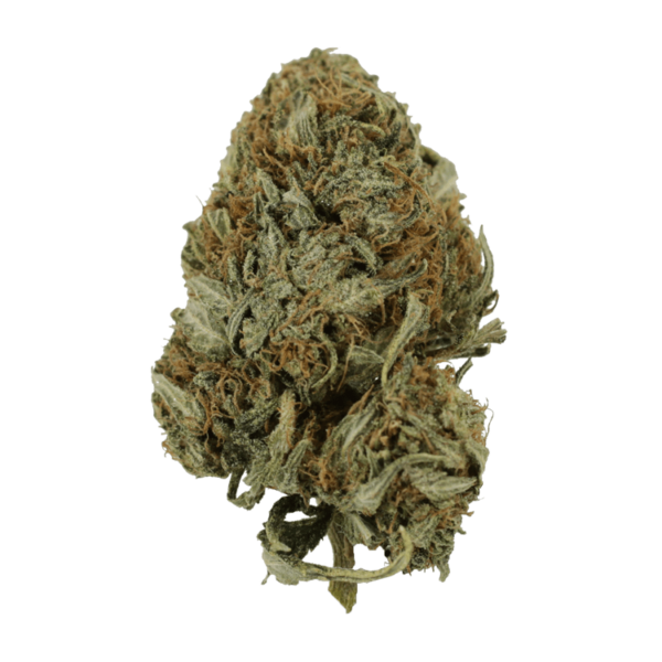 Kandy Kush | Pacific Green Canada