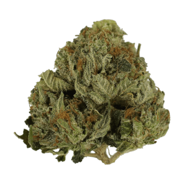 Pink Animal – 1 ounce | Pacific Green Canada