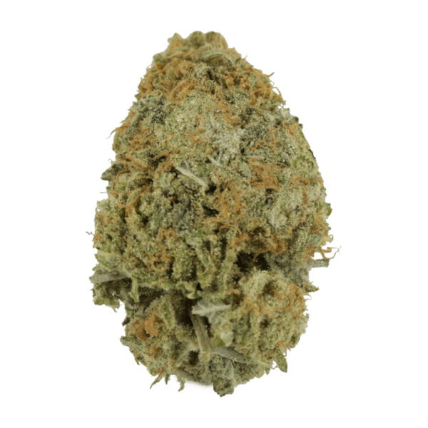 Pink Tuna (Popcorn) – $40/oz | Pacific Green Canada