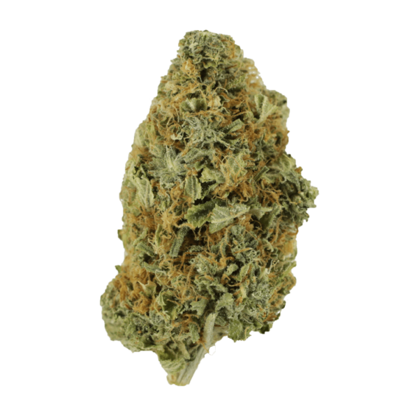 Purple Tuna – 1 ounce | Pacific Green Canada