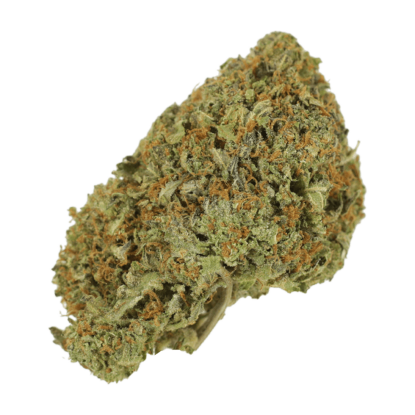 Garlic Breath – 1oz / $60 | Pacific Green Canada