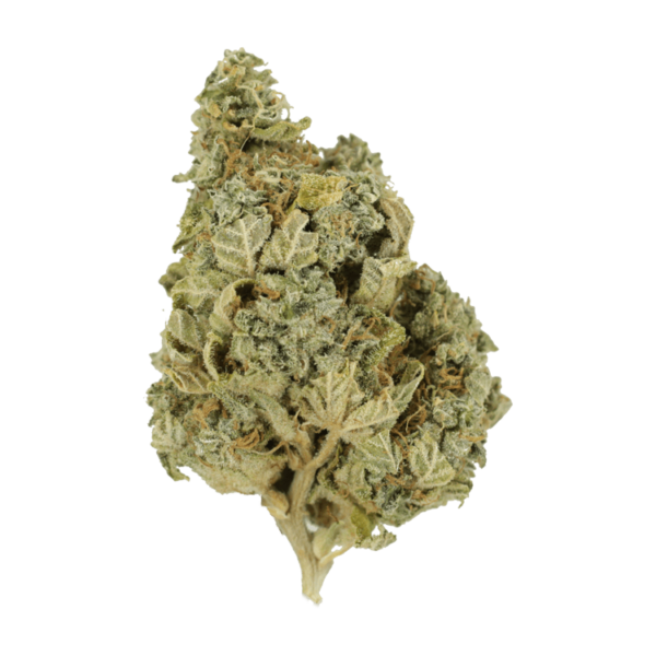 Khalifa Kush | Pacific Green Canada