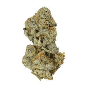 Bison Breath | Pacific Green Canada