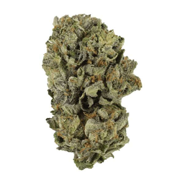 Cerebro Haze | Pacific Green Canada