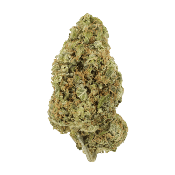 Sour Jack | Pacific Green Canada