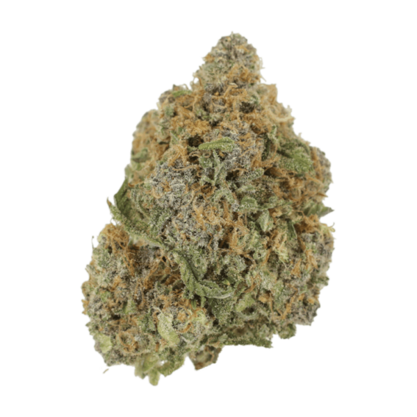 Jagermeister | Pacific Green Canada