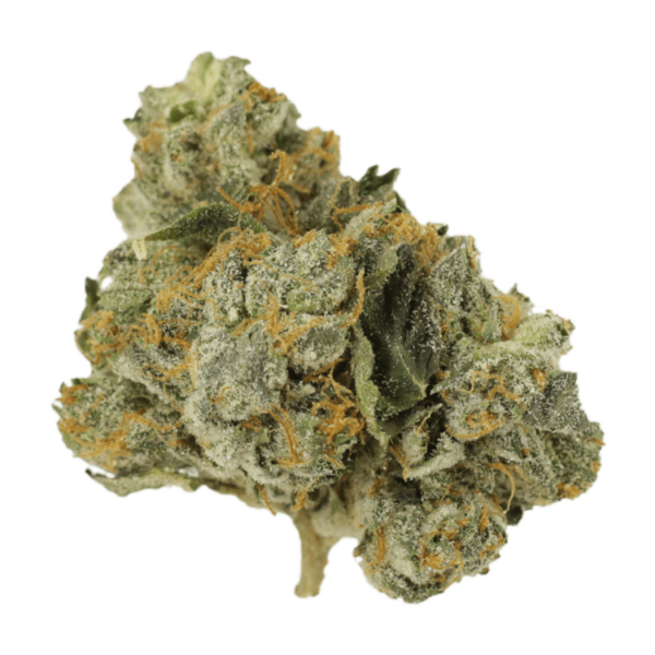 Mango Cream | Pacific Green Canada